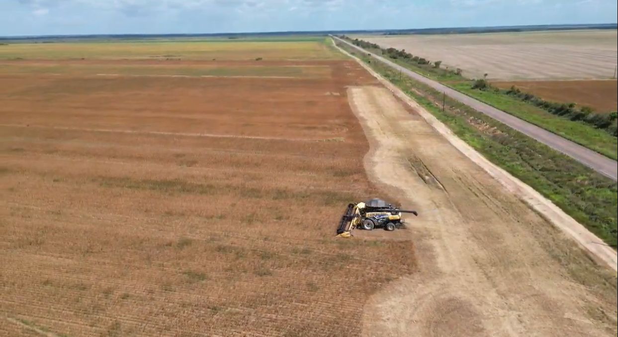 Prefeitura de Macapá alcança mais de 15 mil hectares de áreas licenciadas para atividades agropecuárias – Prefeitura Municipal de Macapá
