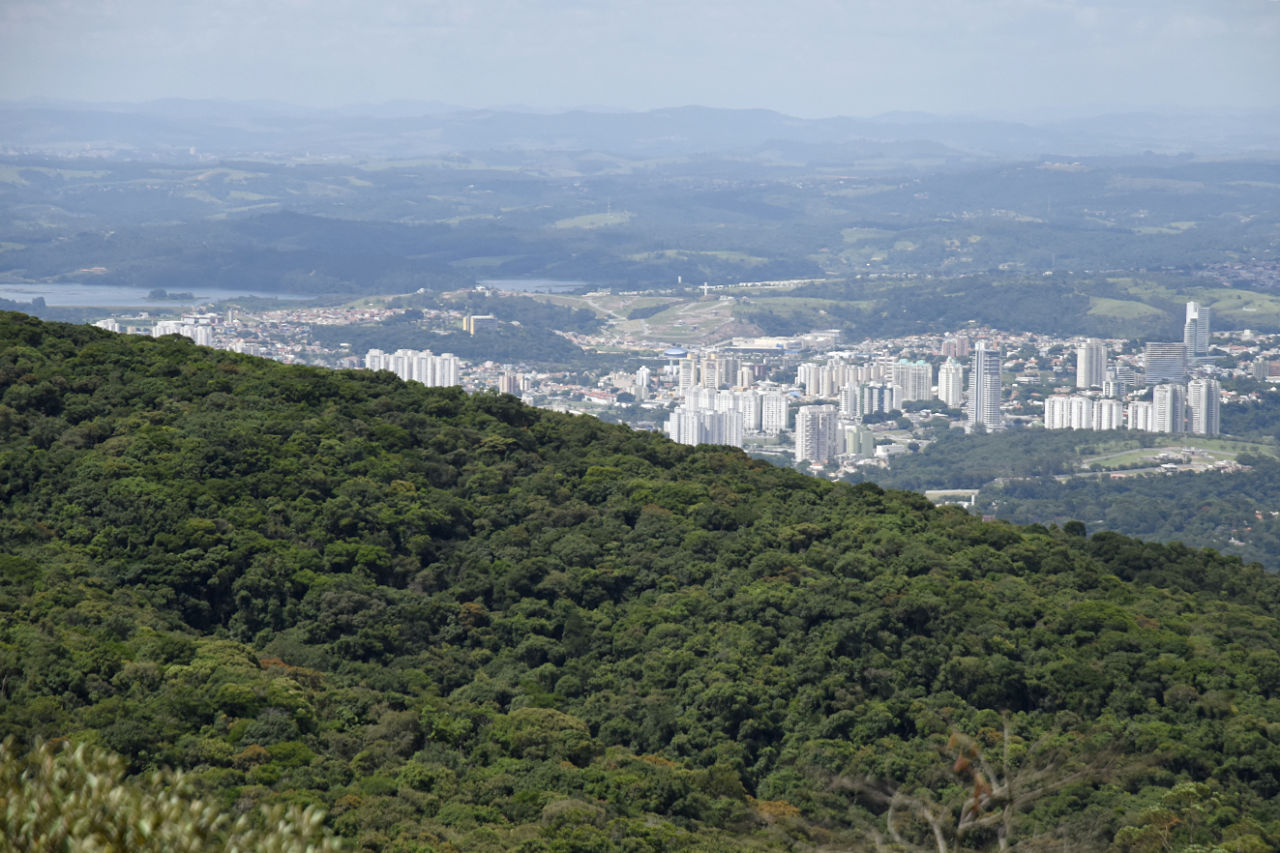 Inscrições para o Conselho de Defesa do Meio Ambiente (COMDEMA) vão até domingo (29)