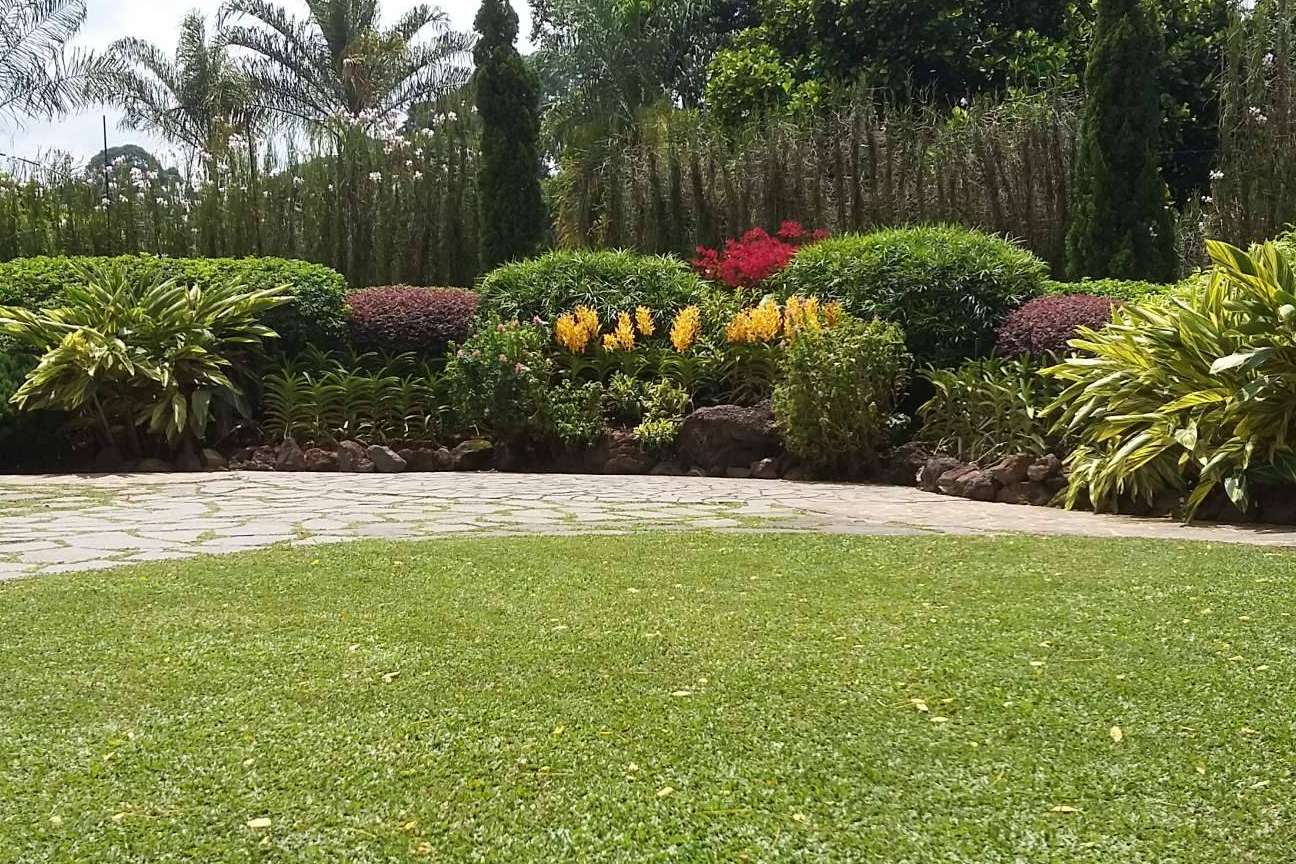 Ecologia e respeito pelo meio ambiente
