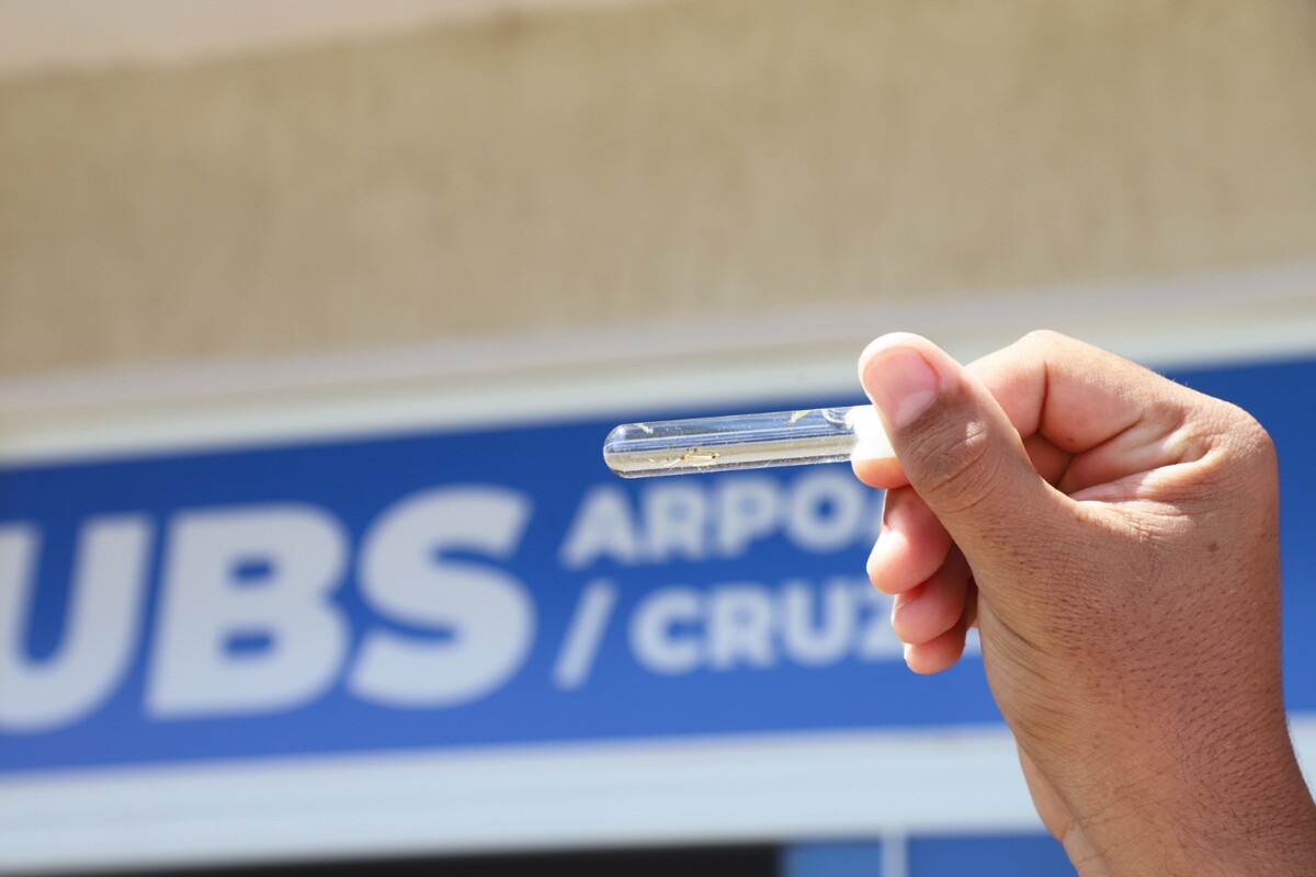 Prefeitura de Búzios realiza Dia D de Combate à Dengue no sábado (9)